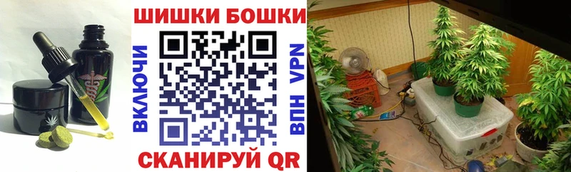 omg ONION  Дальнереченск  Canna-Cookies марихуана  продажа наркотиков 