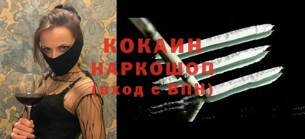 ГАЛЛЮЦИНОГЕННЫЕ ГРИБЫ Богданович