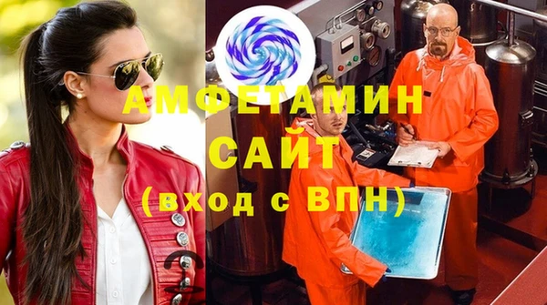 ГАЛЛЮЦИНОГЕННЫЕ ГРИБЫ Богданович