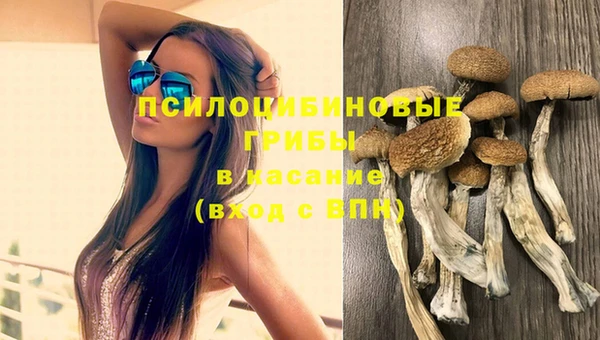 ALPHA-PVP Богородицк