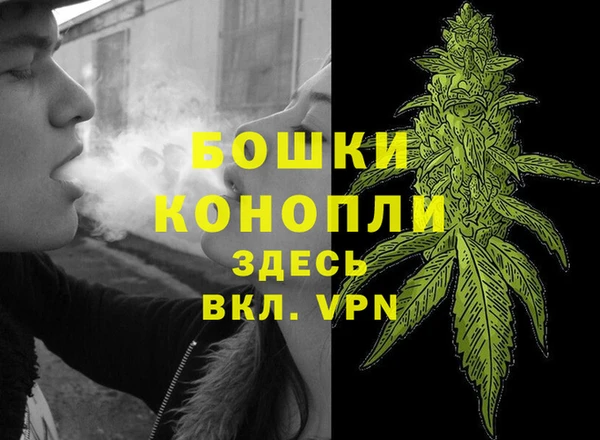 ALPHA-PVP Богородицк