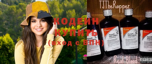 ГАЛЛЮЦИНОГЕННЫЕ ГРИБЫ Богданович