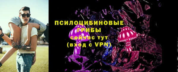 мдпв Богородск