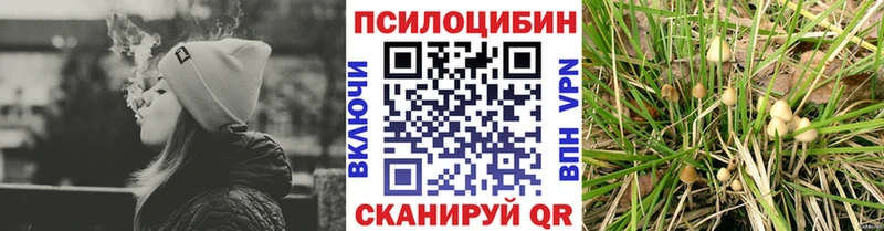 Псилоцибиновые грибы Psilocybe  наркошоп  Дальнереченск 